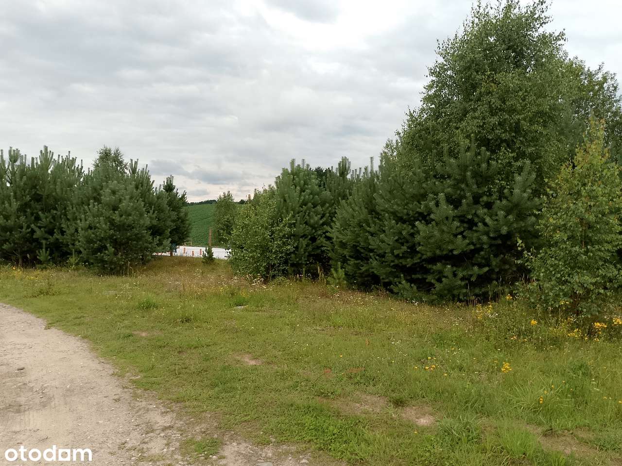 Działka, 1 500 m², Nowa Wieś Przywidzka-1