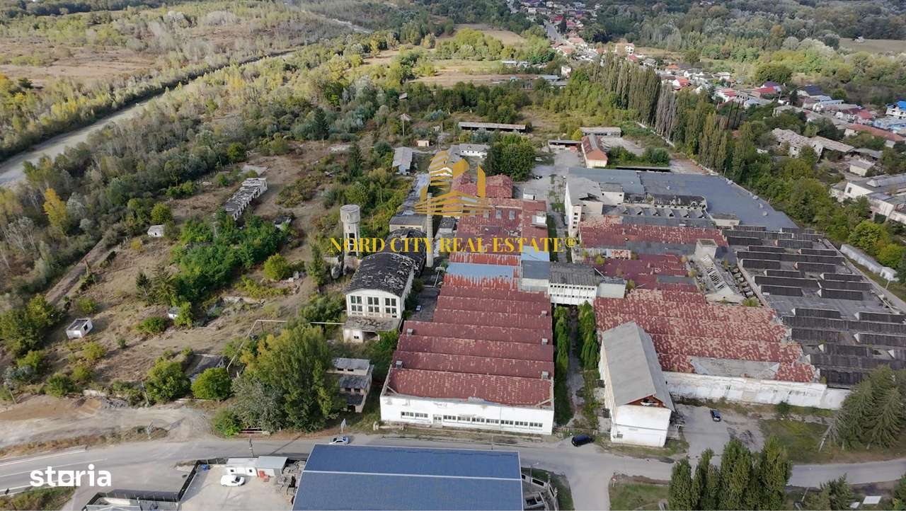 Platforma Industriala-8 ha -Fabrica-Hale Productie-21.500 mp-3