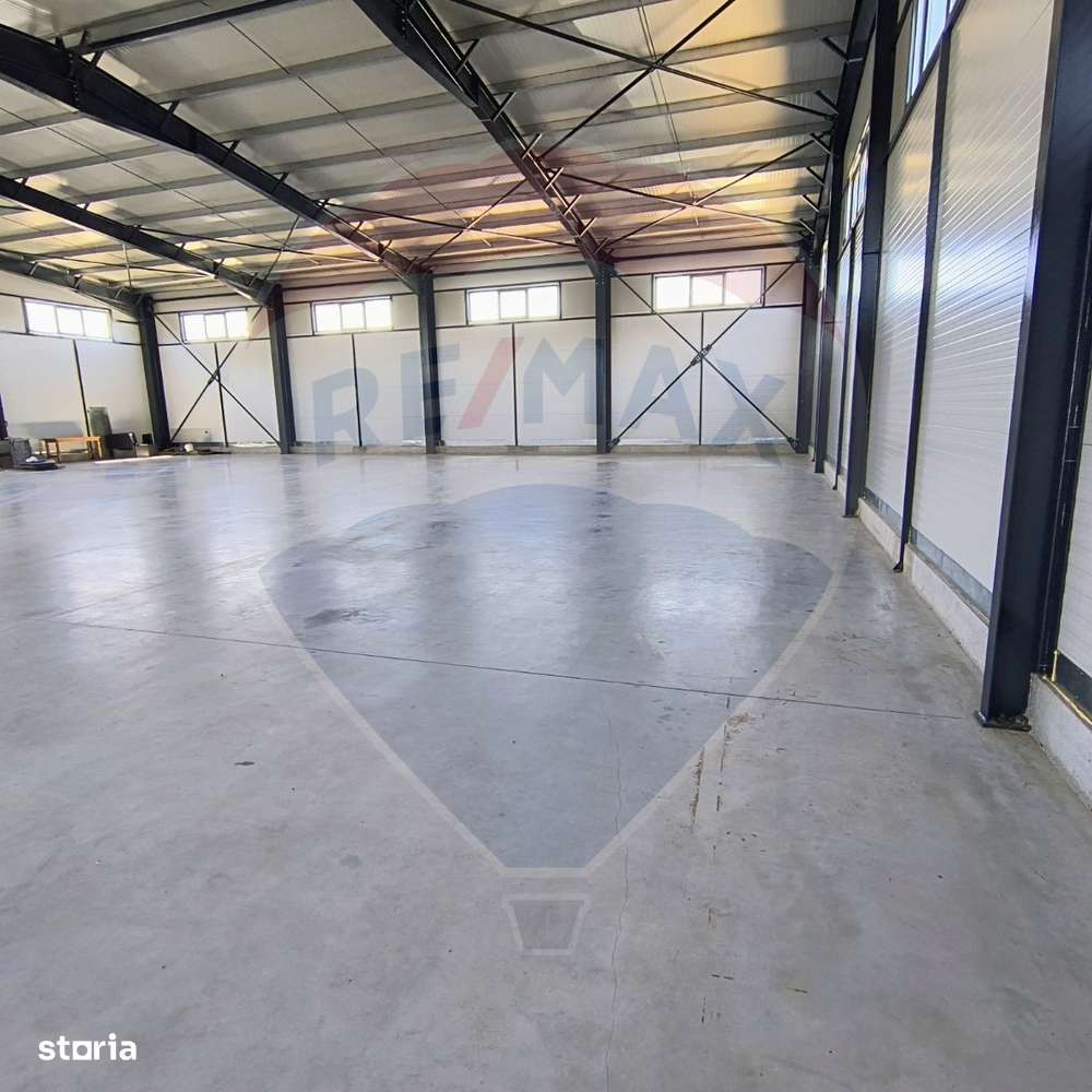 Spațiu industrial hala 597 Mp de inchiriat Ciorogarla - Imagine principală: 4/8