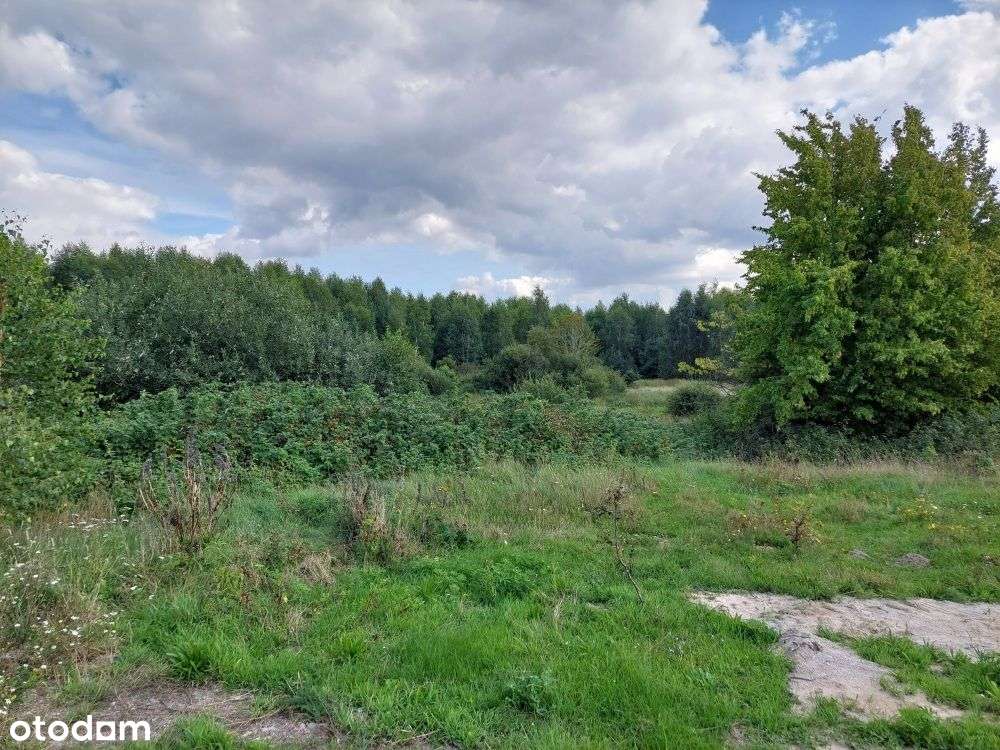 Działka w Błotni na sprzedaż-3