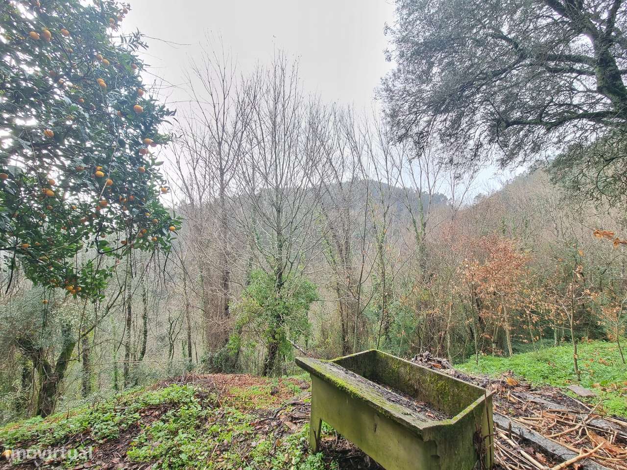 Moradia para restauro com elevado potencial de investimento-15