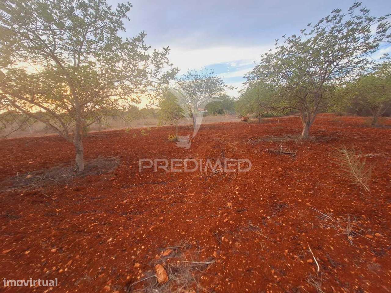 Terreno na Zona de Vale Judeu, Loulé - Grande imagem: 2/13