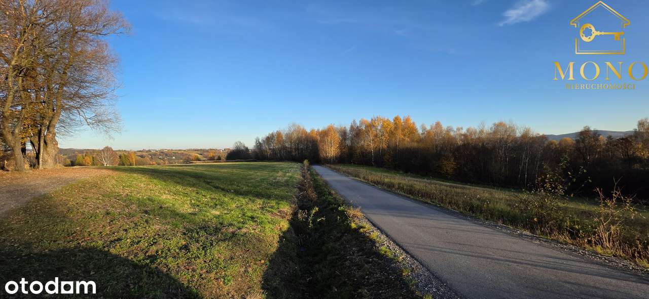 Duża, widokowa działka z lasem na terenie Pogórza Ciężkowickiego-6