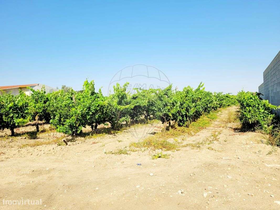 Terreno  para venda - Grande imagem: 5/5