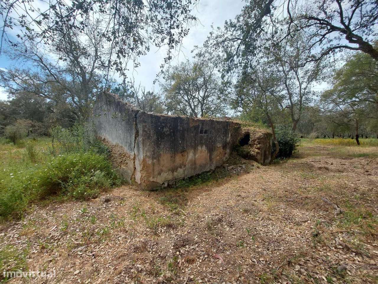 Terreno Misto 4.3 ha, Santa Cruz, Santiago do Cacem - Grande imagem: 4/26