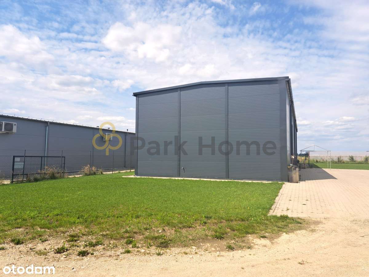 Hala produkcyjno-magazynowa - Pełny obrazek: 5/6