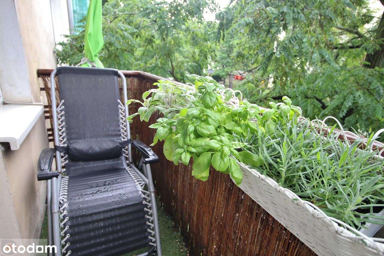 4 pok+kuchnia+3balkony/trójstronne-Kamienica 1935r-8