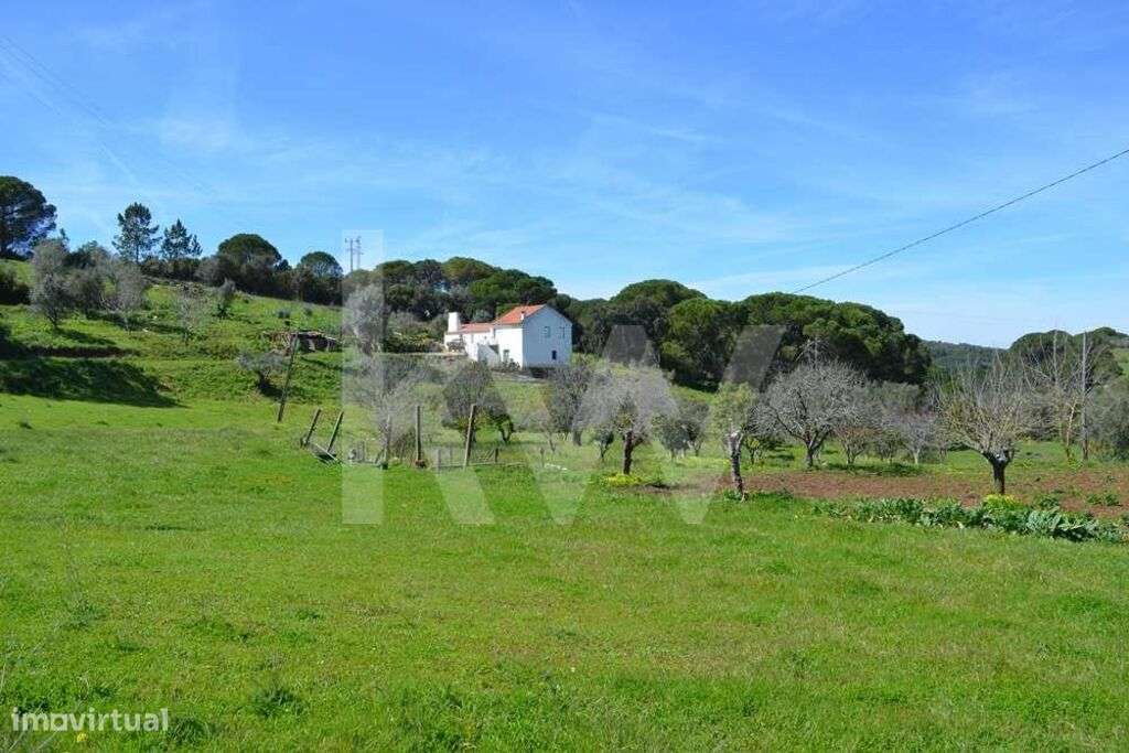 QUINTA COM 4.274,50 M2, COM MORADIA E UM ANEXO EM SANTIAGO DO CACÉM - Grande imagem: 3/20