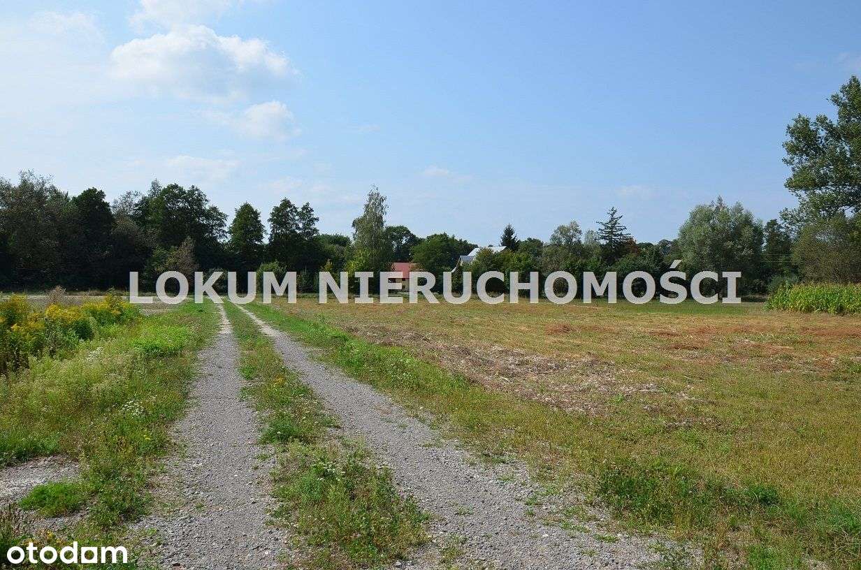 Działki Budowlane W Radgoszczy 10ar i 11ar. - Pełny obrazek: 5/5