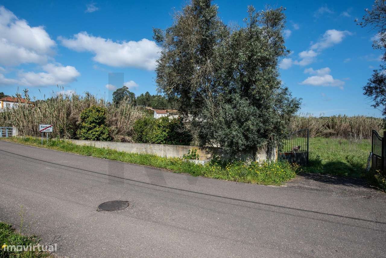Terreno Rústico 7.000m2, Abrançalha de Cima, Senhora da Luz, Abrantes - Grande imagem: 2/15