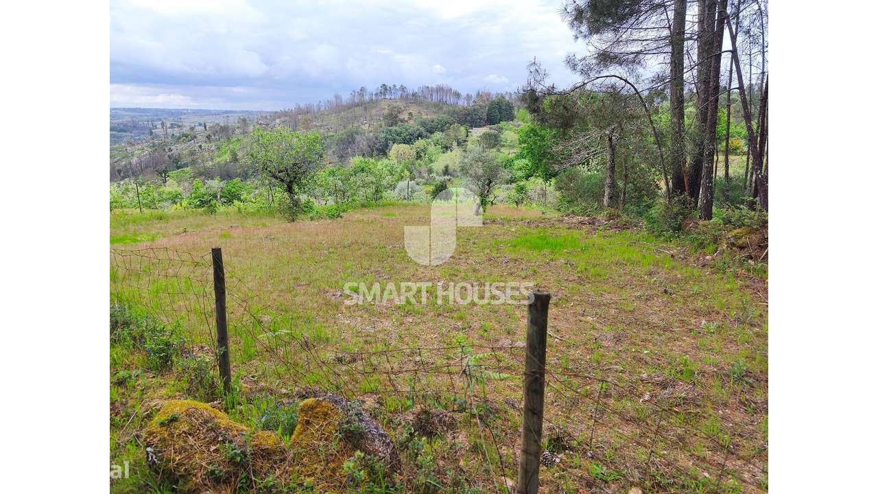 Quintinha em Vila do Mato-12