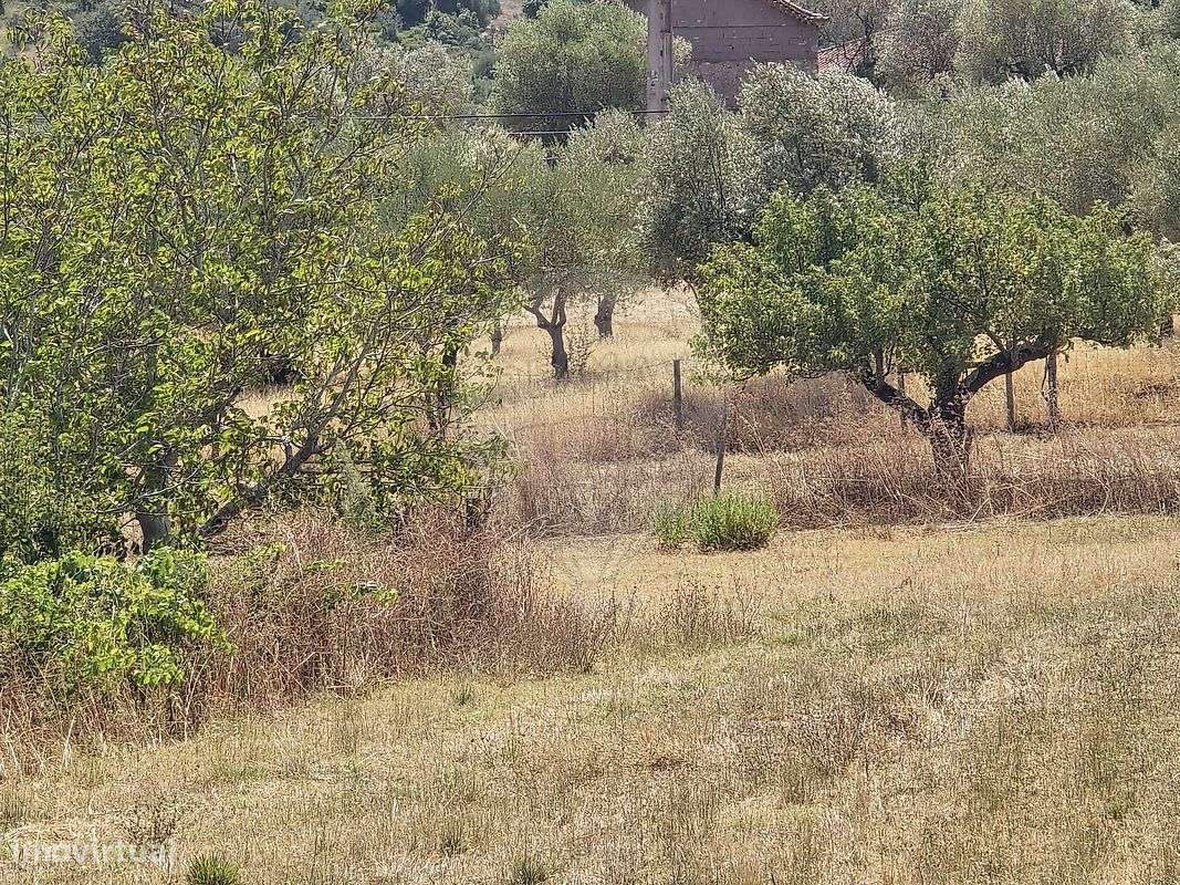 Terreno  para venda - Grande imagem: 5/8