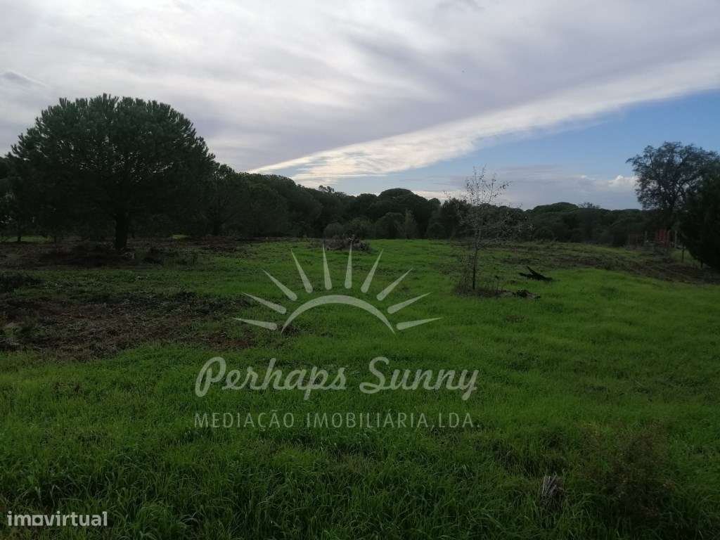 Terreno Rústico em Sobreiras Altas - Melides-5
