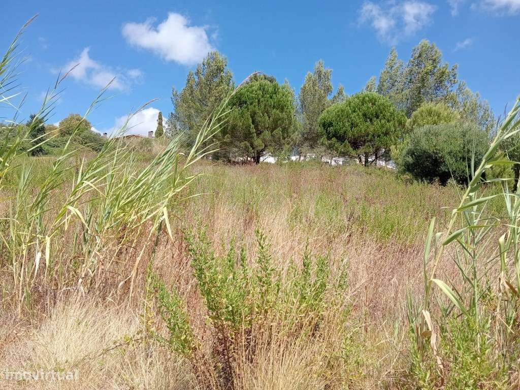 Terreno Rústico com 2280m², para venda, Runa, Torres Vedras-10