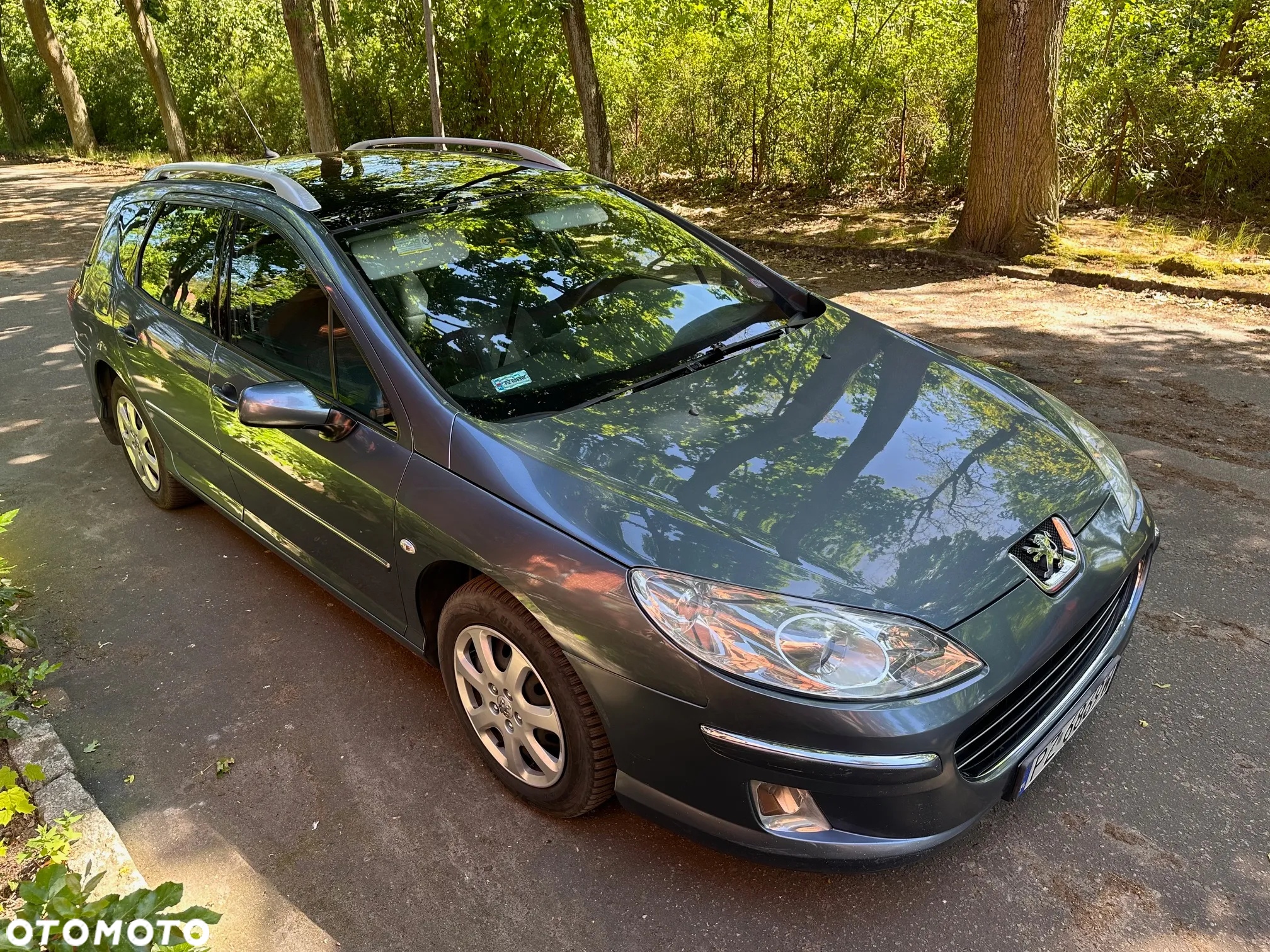 Peugeot 407 - 4