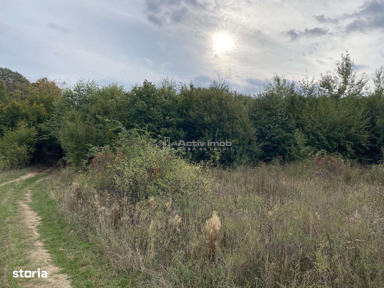 Teren extravilan de vanzare in Tileagd - 3166 mp cu panorama superba - Imagine principală: 4/16