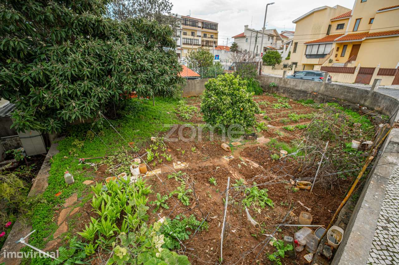 Terreno Alvide - Grande imagem: 2/3