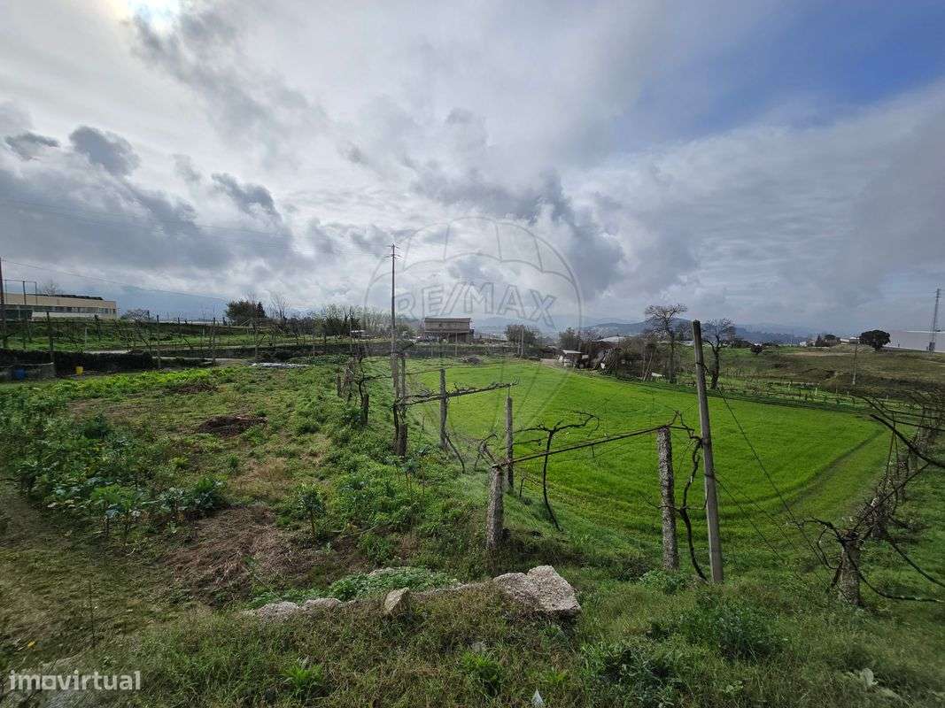 Quinta  para venda - Grande imagem: 3/15