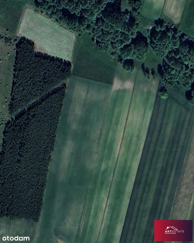 Działki budowlane Bełdów koło Aleksandrowa ł. od 1 - Pełny obrazek: 4/8