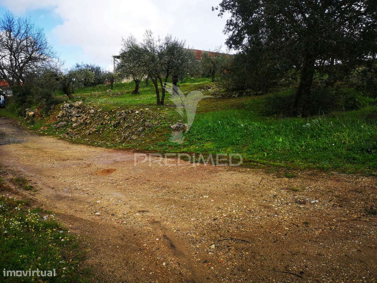 Terreno Rústico Urbanizável em Santa Catarina da Serra e Chainça - Grande imagem: 4/9
