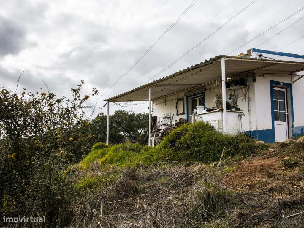 ** Fantástico Monte Alentejano com 50.000m2 Próximo a Maravilhosa C...-21