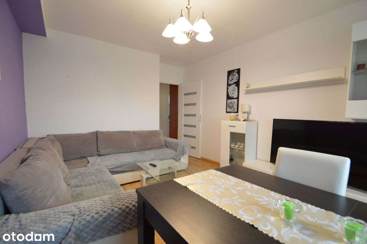 Bardzo ustawne 3 pokoje Telesfora Opole - Pełny obrazek: 4/15