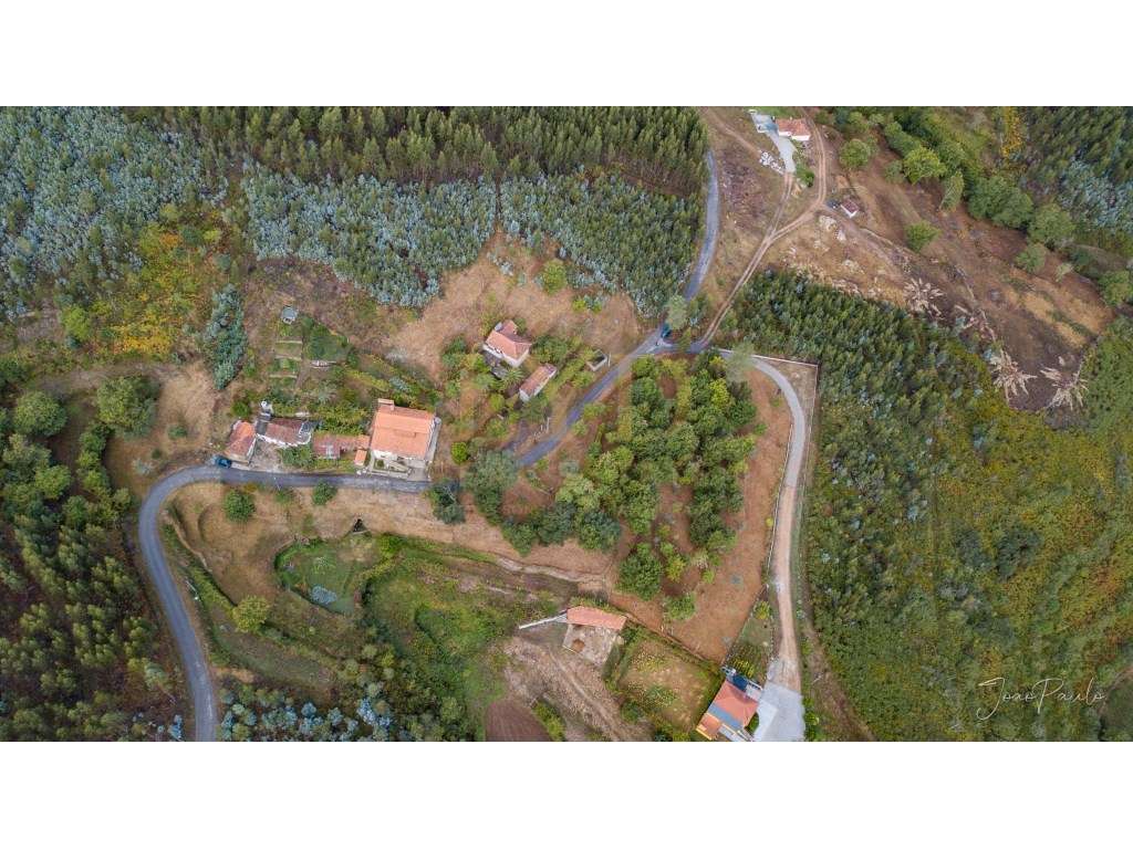 Quinta em Nogueira Paraíso Castelo de Paiva-14