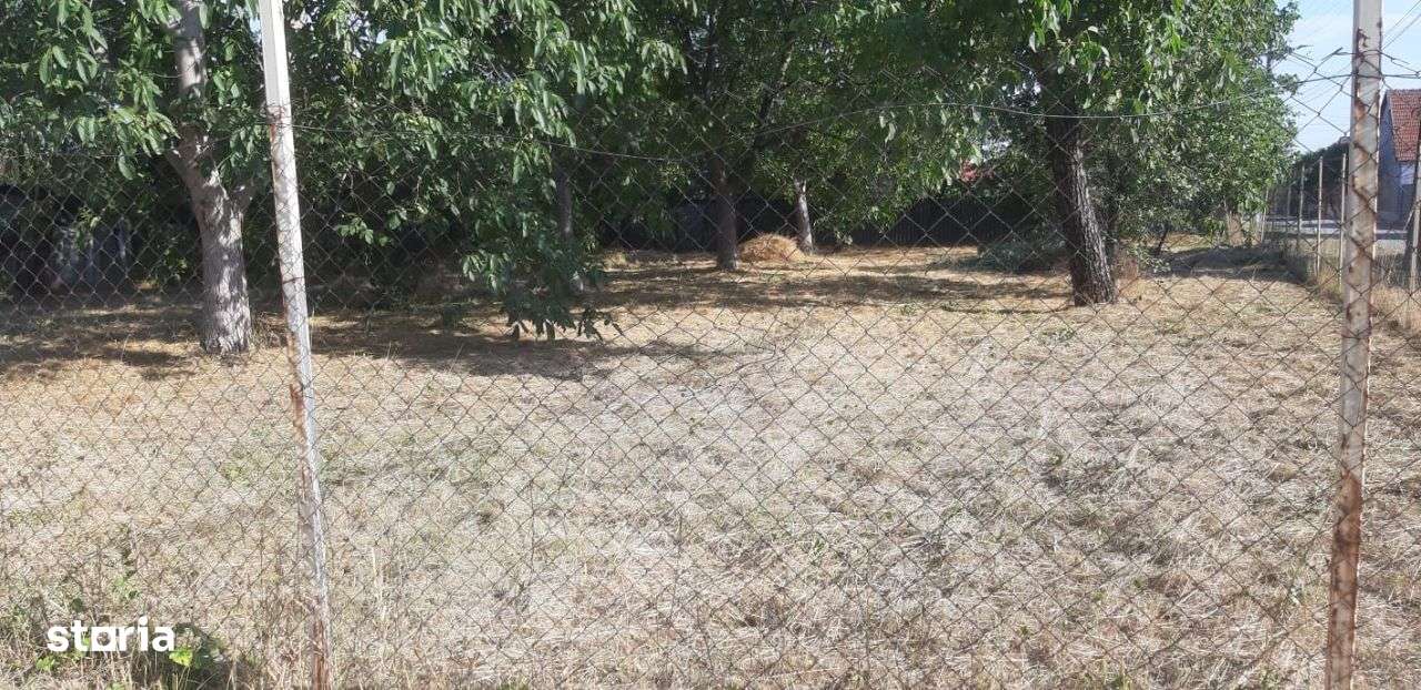 Vand Teren Intravilan pe Colt 896 m2, Oras Pecica, jud Arad,Comision0. - Imagine principală: 5/8