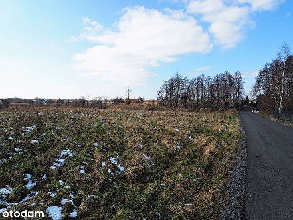 Dostępna od zaraz! Działka w malowniczym miejscu! - Pełny obrazek: 5/9