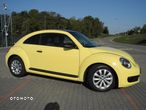 Volkswagen Beetle - 5