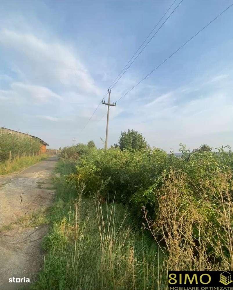 Teren 5000mp extravilan Tarna Mare - Imagine principală: 2/3