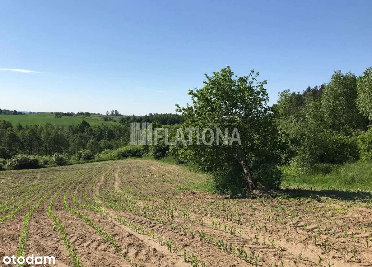 Działka o powierzchni 3919m2-7