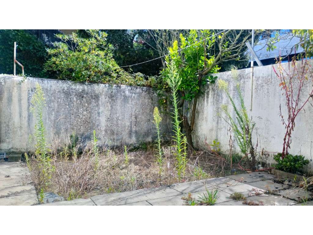 Prédio 3 pisos no centro da cidade-9