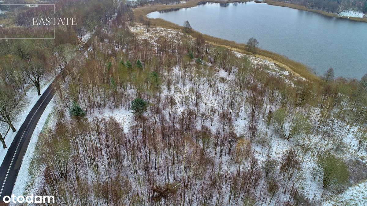 Mpzp, działka z linią brzegową, blisko Giżycka - Pełny obrazek: 5/16