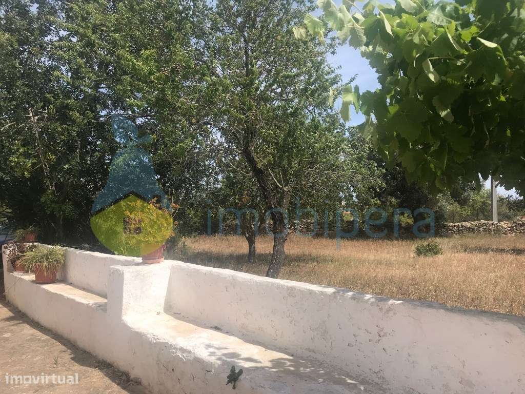 MORADIA T4/QUINTINHA ALGARVIA COM 4,7ha DE TERRENO COM ALFARROBEIRAS - Grande imagem: 4/43