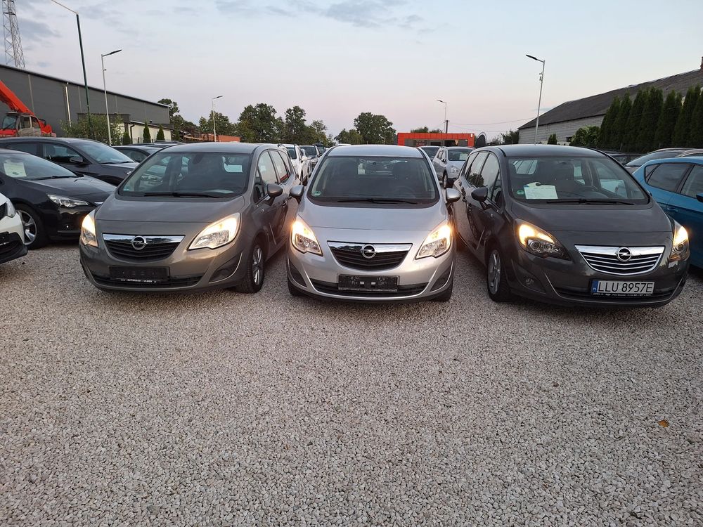 Opel Meriva II (2010-) 1.4 Active 2012