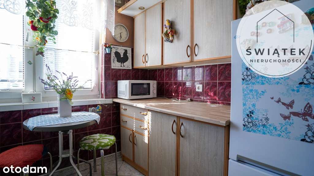 Bydgoskie Przedmieście Reja przy UMK - Pełny obrazek: 3/15