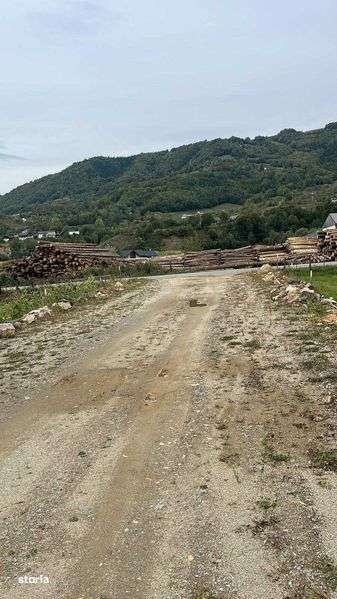 Teren de vanzare in Sangeorz Bai - Imagine principală: 5/6