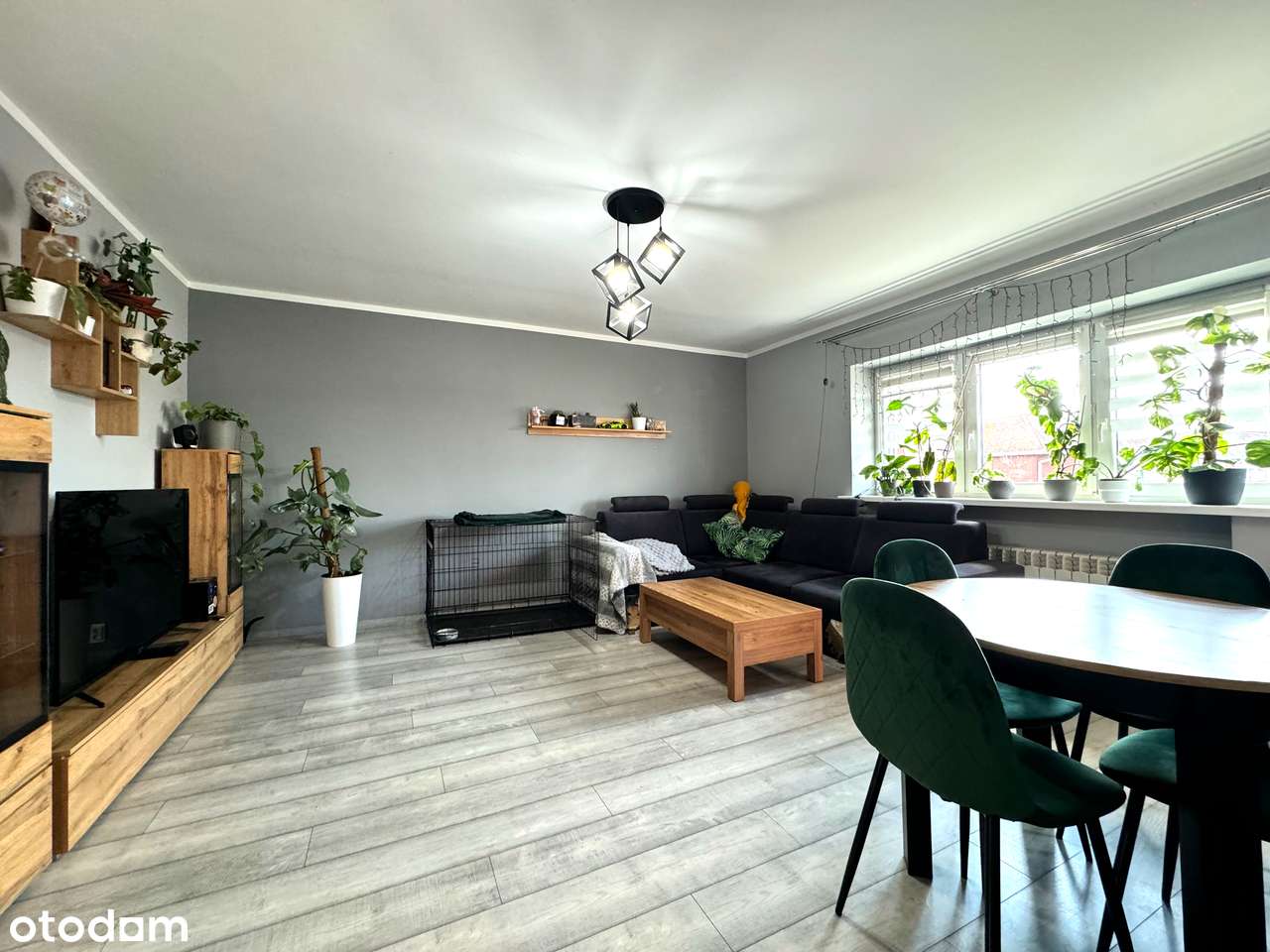 Na sprzedaż 3-pokojowe mieszkanie z tarasem – 62,43 m², ul. Ostroroga-3