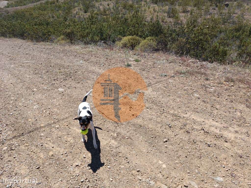 TERRENO COM 34.700 M2 - POSSIBILIDADES DE CONSTRUIR UM ARMAZEM - PR...-23