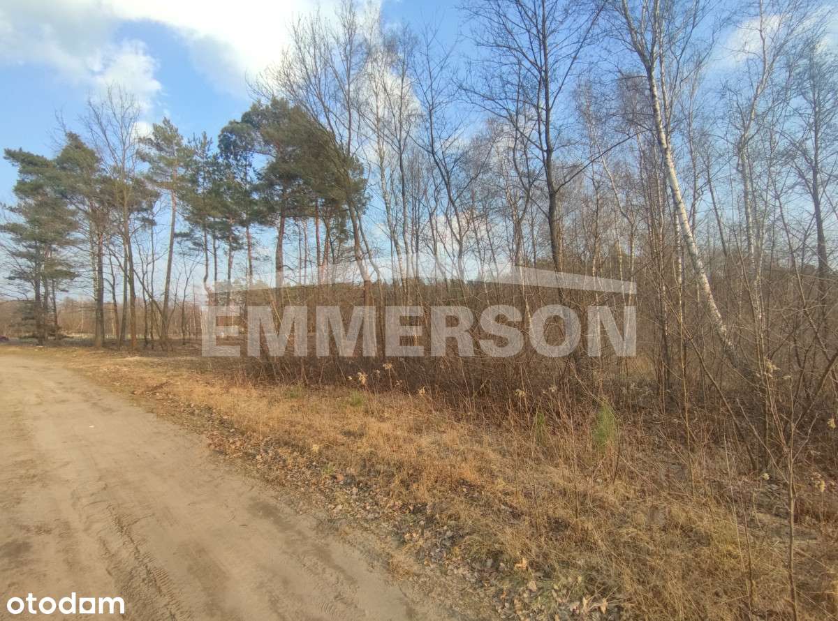 Działka Nowe Grabie, Osiedle Pod Klonami - Pełny obrazek: 5/5