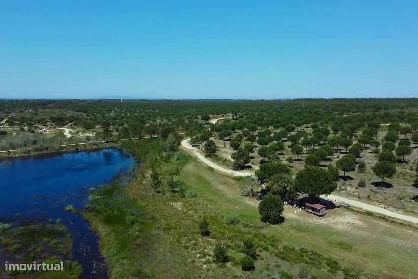 Terreno com Projeto Aprovado para Construção de Moradia de 800m² - Grande imagem: 2/4