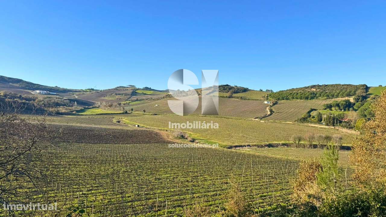 Terreno - Grande imagem: 5/17