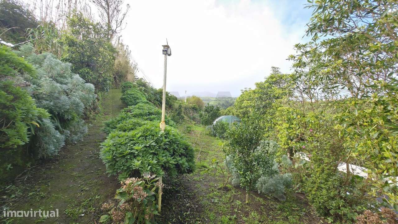 Quinta no meio da Natureza, Nordeste – Um refúgio de paz com vista mar - Grande imagem: 5/21