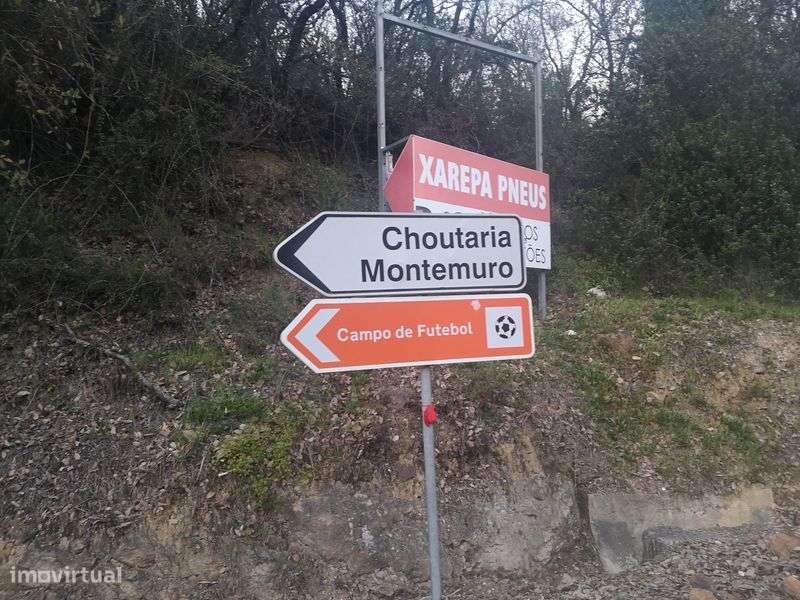 TERRENO Dos Pássaros - Grande imagem: 5/5