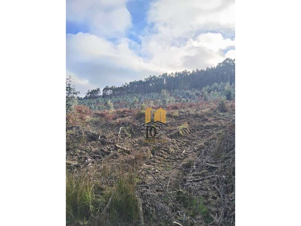 Terreno florestal em Rates-6