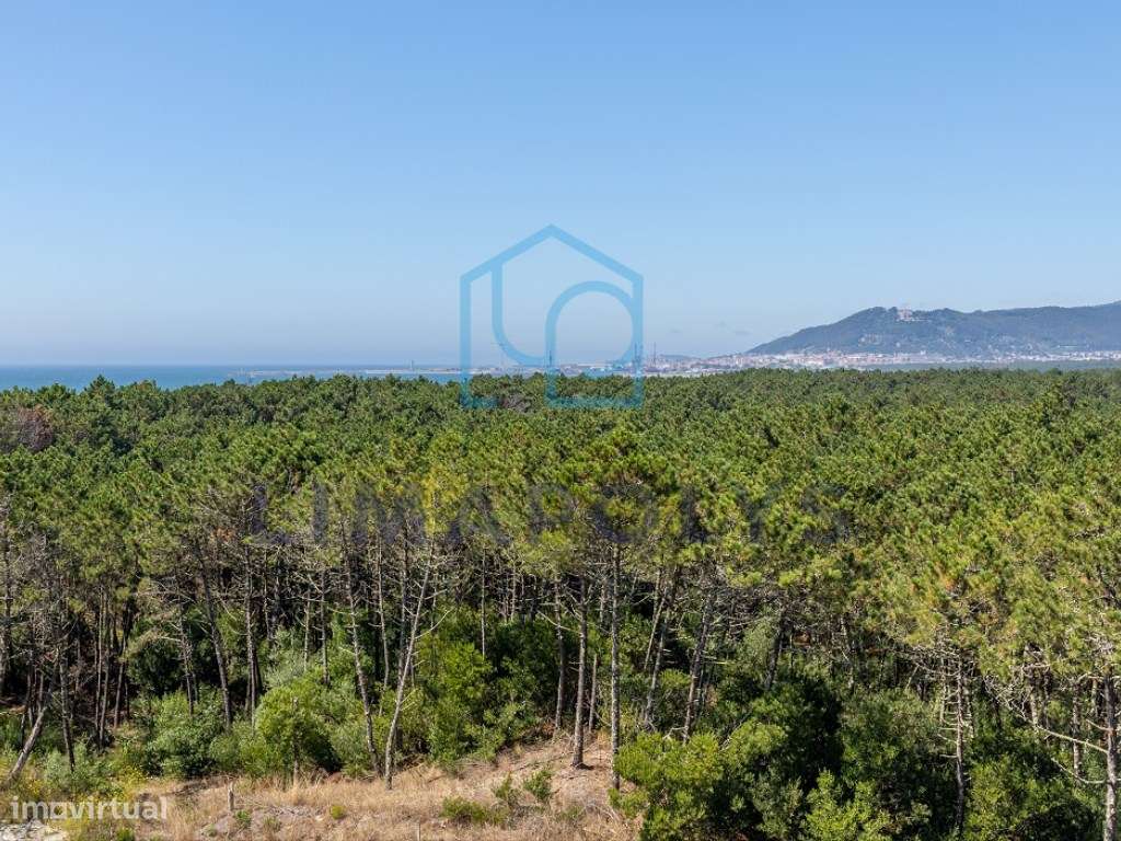 Bonito apartamento T1 com terraço privado-14