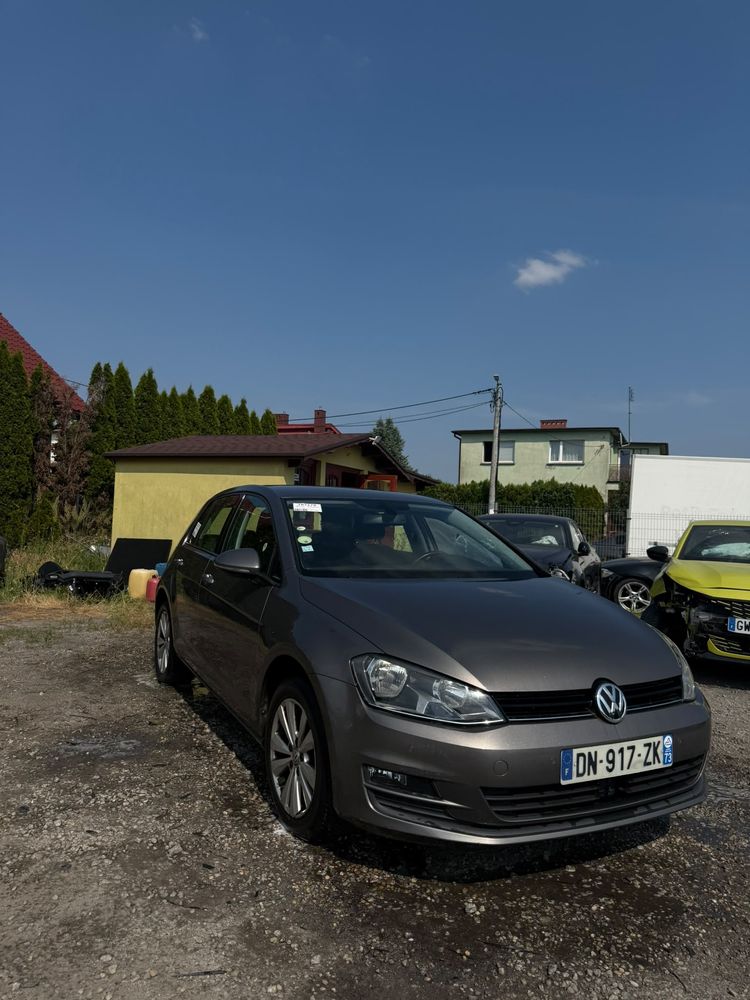 Volkswagen Golf VII (2012-2020) 2015