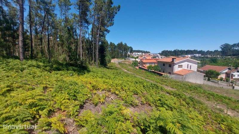 Terreno rústico -  zona de Construção. PASSÍVEL REDUÇÃO DE ÁREA - Grande imagem: 4/7