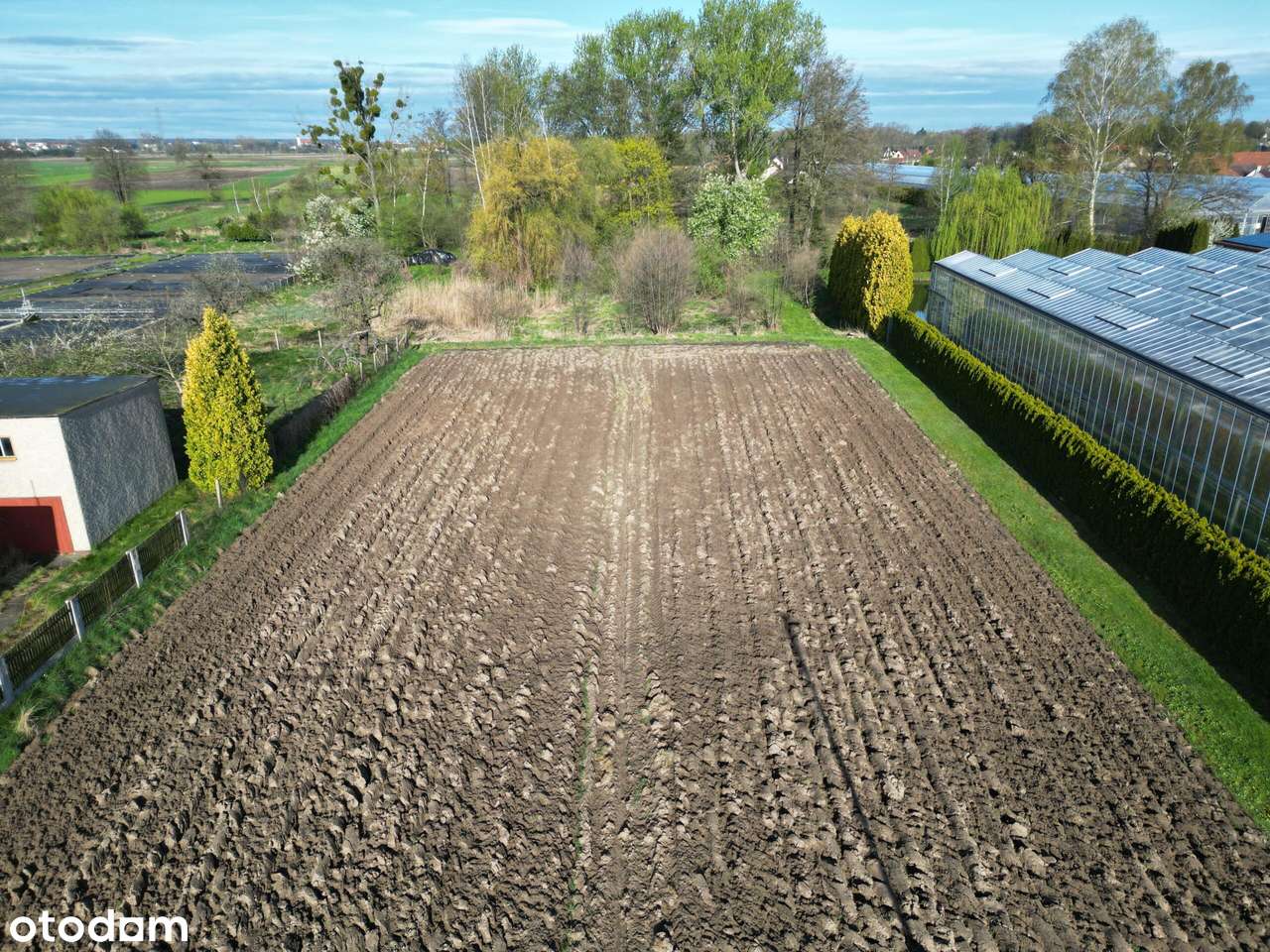 Pakiet 3 działek z naturalnym zagajnikiem - Pełny obrazek: 5/9